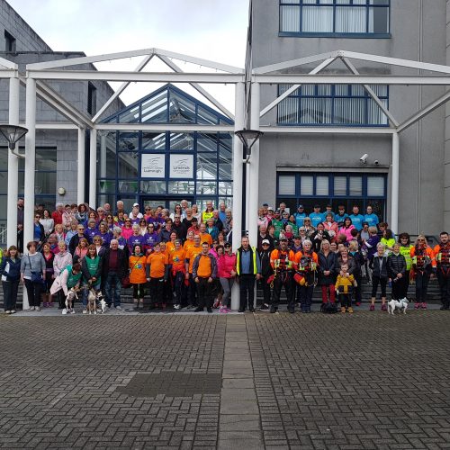 Limerick Lions Club 7 Bridges Walk 2019